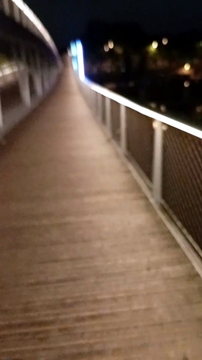 COPIX - Fullface 2026 - teste du Pont des Arts