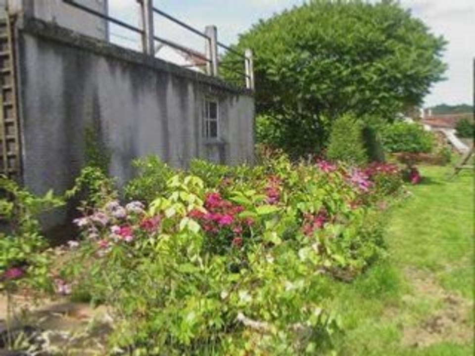 Mon jardin