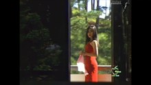 Đình Văn - Nhắn cánh chim chiều [OFFICIAL MV] [4K HD REMASTERED]