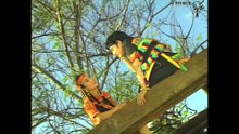 Kim Tử Long, Tài Linh, Cảnh Hàn, Lam Trường - Nàng sơn ca [OFFICIAL MV] [4K HD REMASTERED]