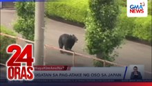 4 sugatan sa pag-atake ng oso sa Japan | 24 Oras