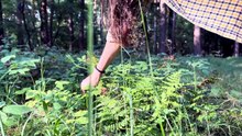 After Work Outdoor Escape | Peaceful Forest Camping