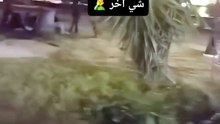 تونسية تكشف ما يحدث في أحد حدائق عامة في تونس