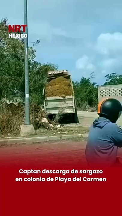Captan descarga de sargazo en colonia de Playa del Carmen