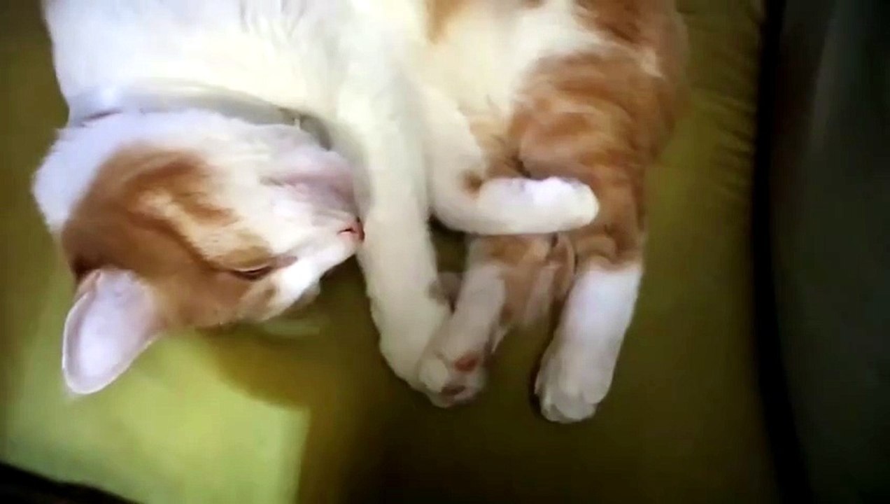 Watch my toes, I am boogy in my sleep