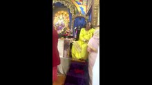 2024-11-21-Vishwananda talk