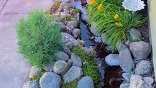 My hand built backyard stream