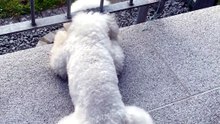 Hera