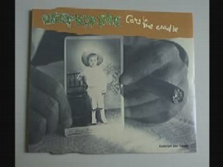 Cats in the cradle-Ugly kid Joe, par Astra