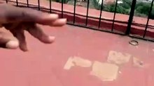LO QUE USTED PUEDES VER EN GUANAJUATO DE MEXICO