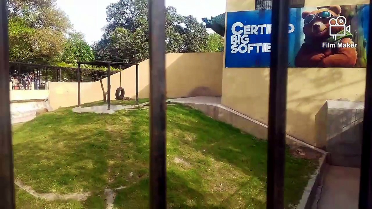 We visited Lahore zoo
