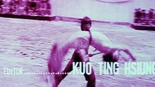 Tek Kollu Kahraman Wang Yu (Kung Fu - Türkçe Dublaj)