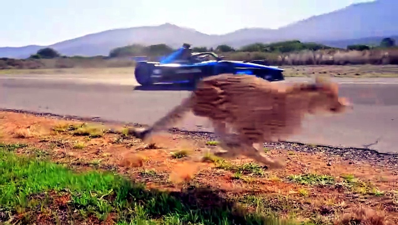 World's Fastest Car Vs Cheetah! [Full Movie] [Official Release]Full EP - Full