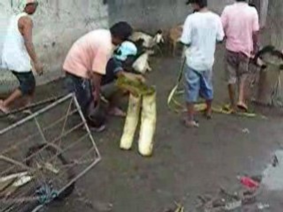 A living package-davao port