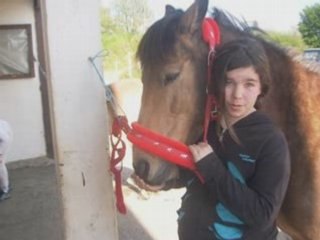 Ma princess, ma ponnette de concours