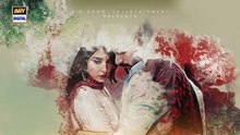 Biryani ep 4 Pakistani drama