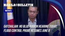 Gatchalian: No Blue Ribbon hearing today; flood control probe resumes June 8