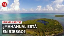 ¿Alicia Bárcena rechaza proteger Mahahual? | Milenio Hábitat