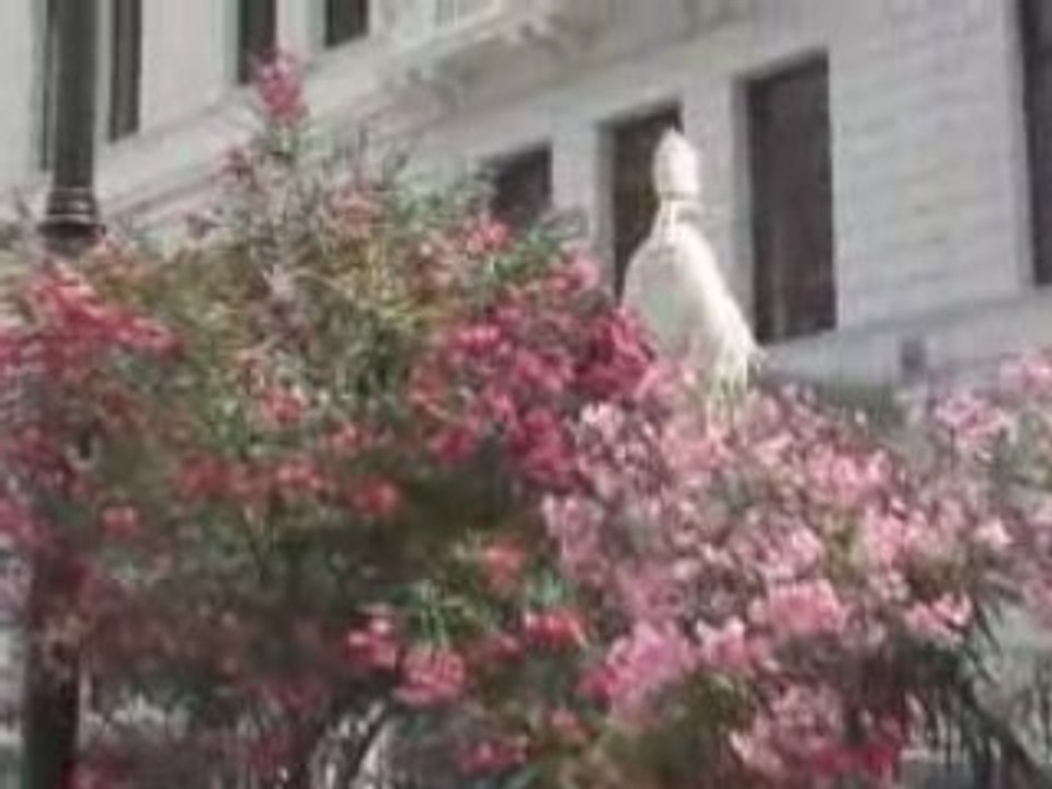 Palermo Cathedral..