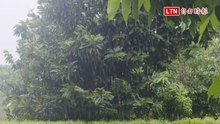 高雄市未來一週不定時降雨  這3天雨勢最大