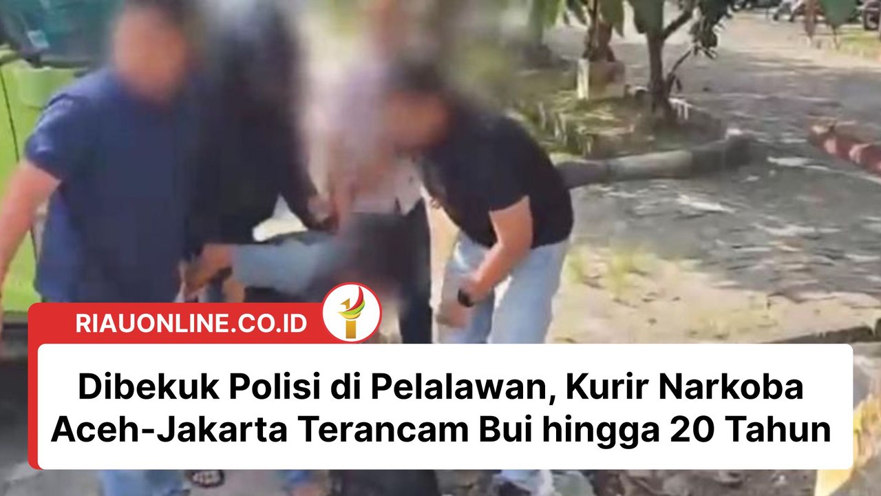 Dibekuk Polisi di Pelalawan, Kurir Narkoba Aceh-Jakarta Terancam Bui hingga 20 Tahun