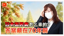 日本近半人口受花粉症困扰 背后竟与战后政策有关