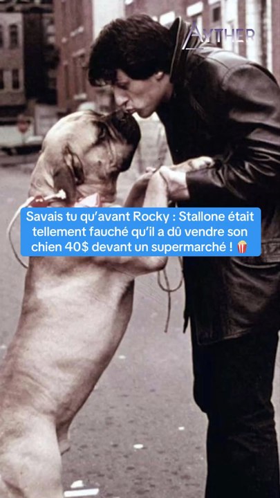 Stallone avait dû vendre son chien avant les films Rocky ! 🍿#stallone #rocky #sylvesterstallone #butkus #cinema
