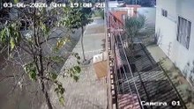 Vídeo mostra momento em que Border Collie é atropelado em Cascavel