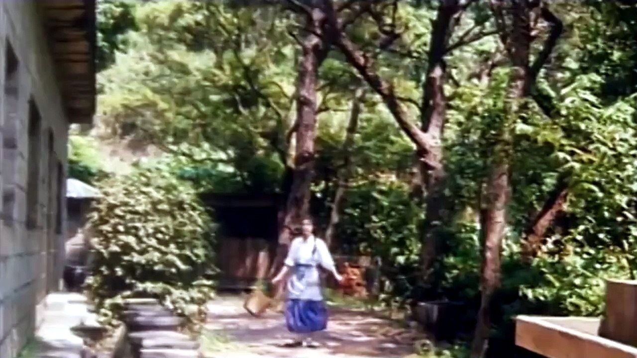 SHAO LIN XIAO ZI II: Xin wu long yuan (1994) Tr...