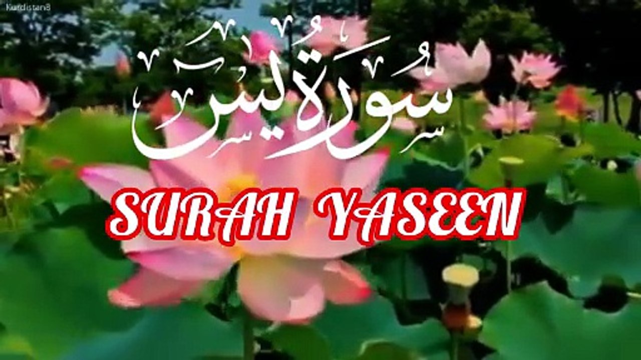 🌿 Surah Yaseen | قلب القرآن | Beautiful Quran Recitation with Arabic Text
