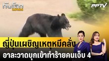 ญี่ปุ่นเผชิญเหตุหมีคลั่งอาละวาดบุกเข้าทำร้ายคนเจ็บ 4|ทันโลก EXPRESS |4 มิ.ย. 69