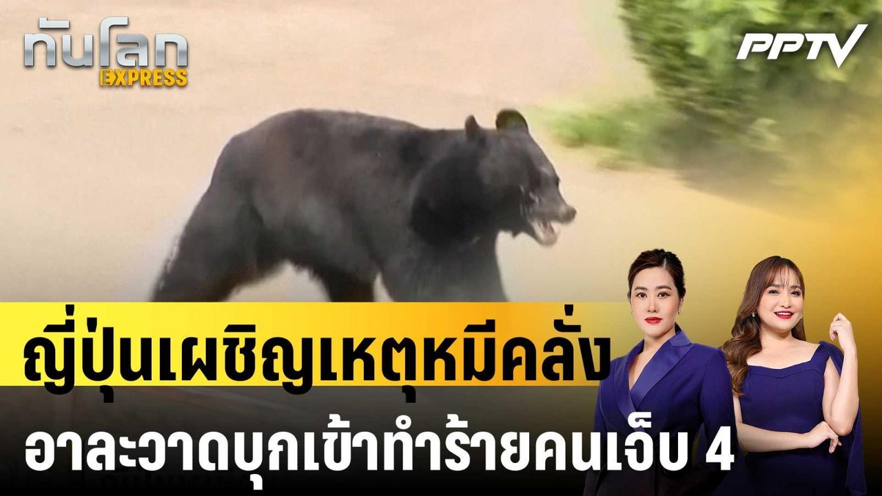 ญี่ปุ่นเผชิญเหตุหมีคลั่งอาละวาดบุกเข้าทำร้ายคนเ...