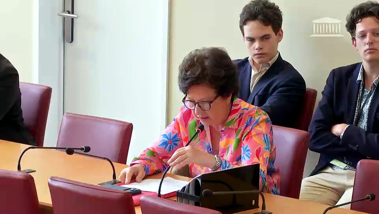 Commission des affaires étrangères : Élimination de la double imposition en matière d’impôts sur le revenu et prévention de l’évasion et de la fraude fiscales ; Accord économique bilatéral entre la France et la RDC - Mercredi 3 juin 2026