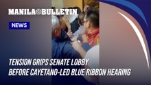 Tension grips Senate lobby before Cayetano-led blue ribbon hearing