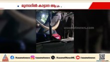ഒറ്റച്ചവിട്ടിന് കാർ തവിട് പൊടി! മൂന്നാറിൽ പടയപ്പയുടെ പരാക്രമം