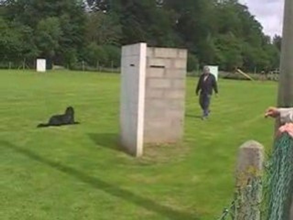 MOV07F