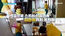 입 속 염증을 막기 위해서는 식사 전 '양치'를 해라?! 깨끗한 입안을 유지한 비법
