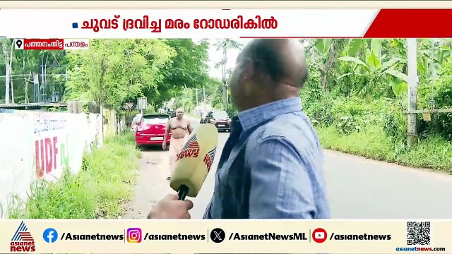 റോഡിൽ അപകട ഭീഷണിയായി ചുവട് ദ്രവിച്ച വൻ മരം; മരം മുറിച്ച് മാറ്റാതെ പഞ്ചായത്ത്