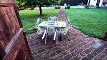 UN MICIONE, UN AIRONE, UN PICCIONE, UN CAGNOLONE