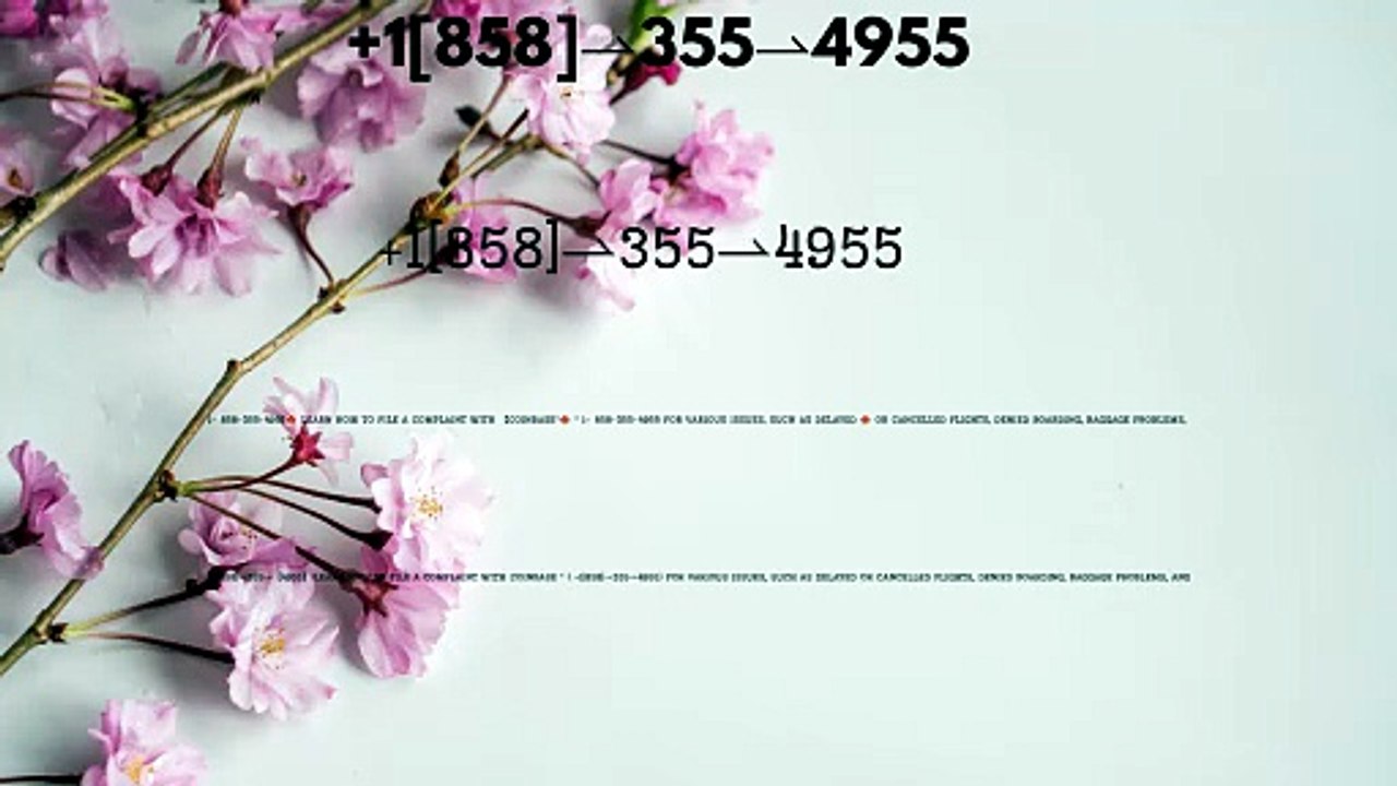 【4`s】& COINBASE WAlLET Toll Free® CUSTOMER© SUPPoRT℗ Phone NuMber : Guideline (24/7 Live Agents)2026
