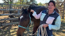 Meet the central Queensland woman using gentle touch to heal horses