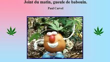 LA DROGUE EST UNE CALAMITE