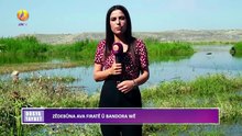 JIN TV| BILINDBÛNA AVA FIRATÊ Û METIRSIYA WÊ.