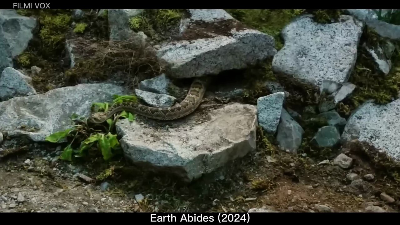 Zinda Rehne Ki Jung _ Earth Abides (2024) Movie Explained in Hindi_Urdu _ Filmaya_1080p