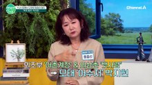 목포의 자랑, 트로트 가수 박지현의 남다른 고향 사랑과 ‘목포 왕자’ 비하인드 스토리