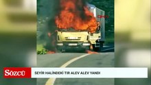 Şanlıurfa'da TIR alev alev yandı