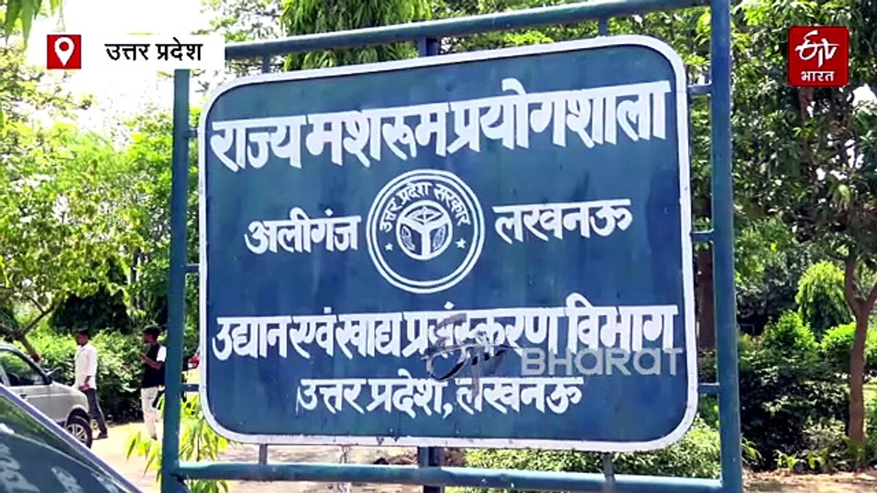 यूपी के अन्नदाताओं के लिए खुशखबरी ! मशरूम से बंपर कमाई का मौका, 35 डिग्री तापमान में कमा सकेंगे दोगुना मुनाफा