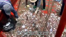 We received food aid while surviving for days in a small hut in the middle of the sea