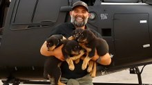 A closer look at 12 inspiring animal rescues from California wildfires