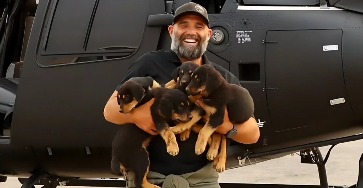 A closer look at 12 inspiring animal rescues from California wildfires